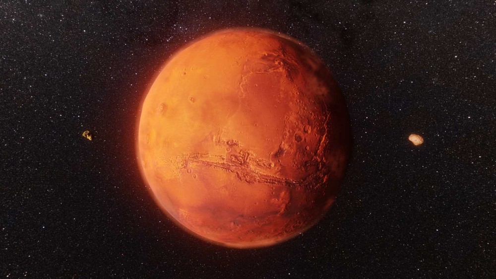 NASA đã từng phát hiện sự sống trên sao Hỏa nhưng vô tình tiêu hủy? - Ảnh 1.