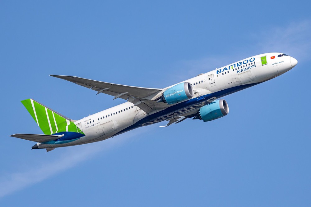 Chủ nhân của các khoản phải thu lên đến hàng nghìn tỷ đồng với Bamboo Airways - Ảnh 1.