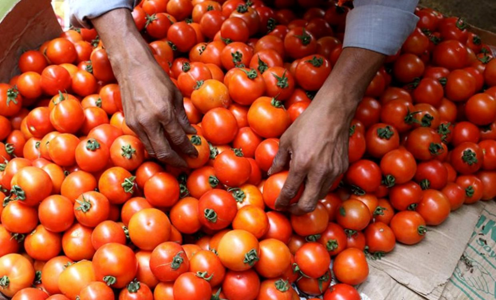 Cà chua tăng giá hơn 400% tại Ấn Độ: Đắt đỏ như xăng, đến McDonald’s cũng không mua nổi - Ảnh 2.