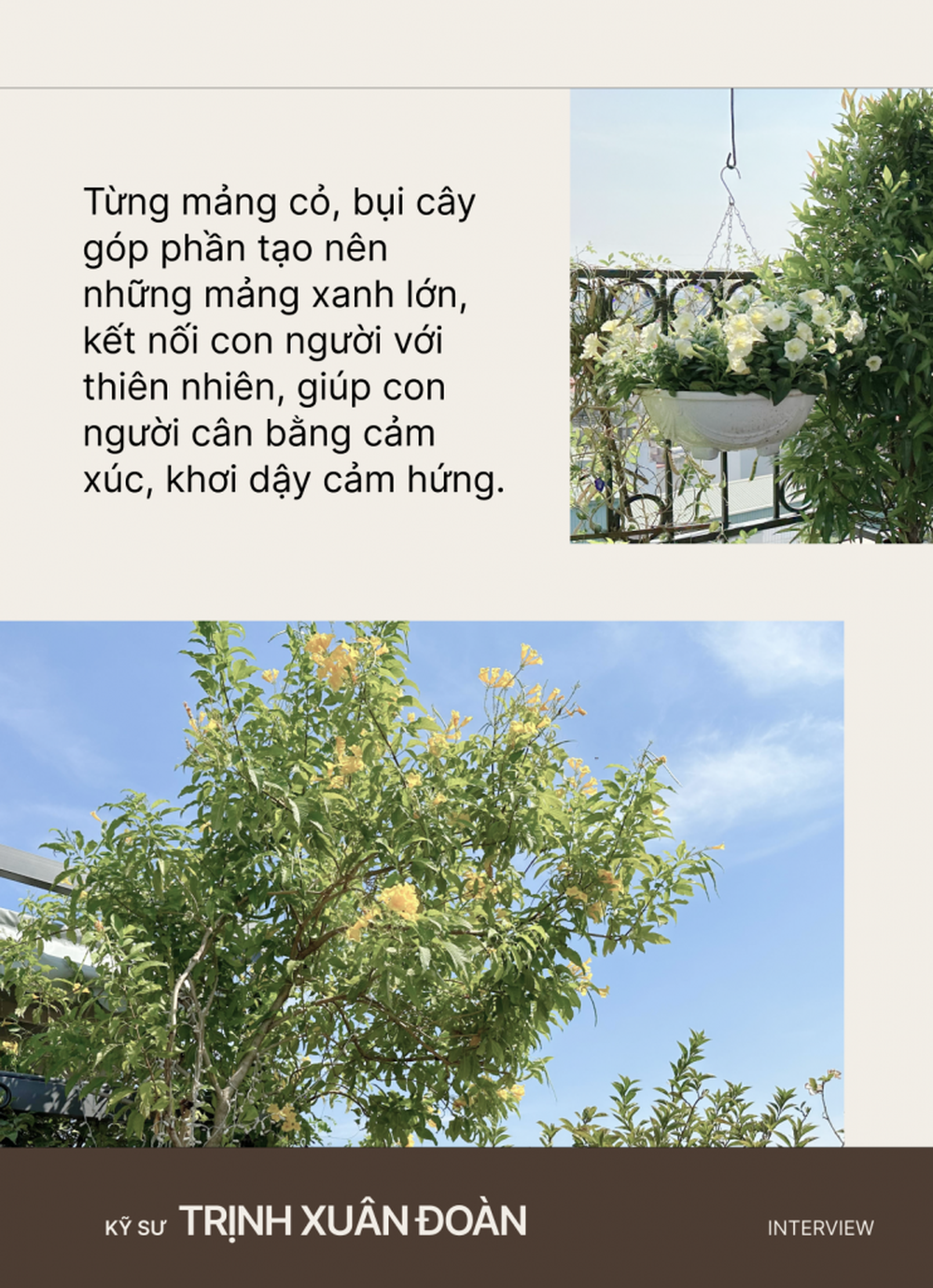 Kỹ sư thiết kế sân vườn Trịnh Xuân Đoàn: Từng mảng cỏ, bụi cây góp phần xanh hóa những tảng bê tông đô thị, giúp con người tìm về với thiên nhiên - Ảnh 8.