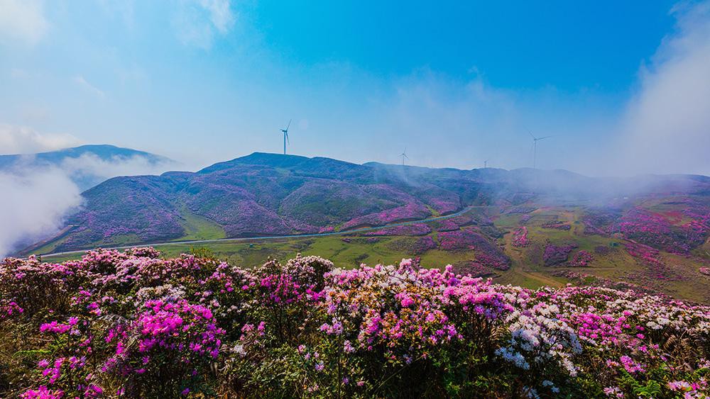 Thành phố không dùng điều hòa ở Trung Quốc: Người dân không biết nắng nóng là gì, mùa hè ngủ còn phải đắp chăn - Ảnh 13.