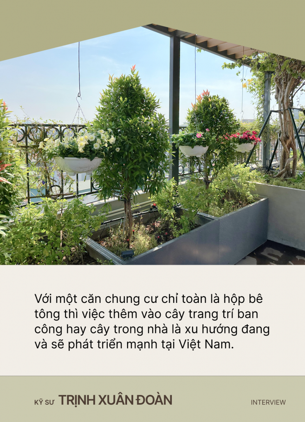Kỹ sư thiết kế sân vườn Trịnh Xuân Đoàn: Từng mảng cỏ, bụi cây góp phần xanh hóa những tảng bê tông đô thị, giúp con người tìm về với thiên nhiên - Ảnh 2.