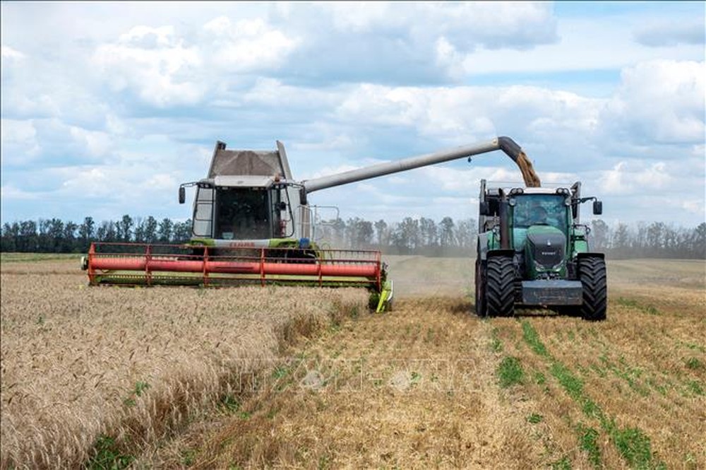 Thỏa thuận ngũ cốc chấm dứt, vì sao các nhà sản xuất nông sản EU e ngại giúp đỡ Ukraine? - Ảnh 1.