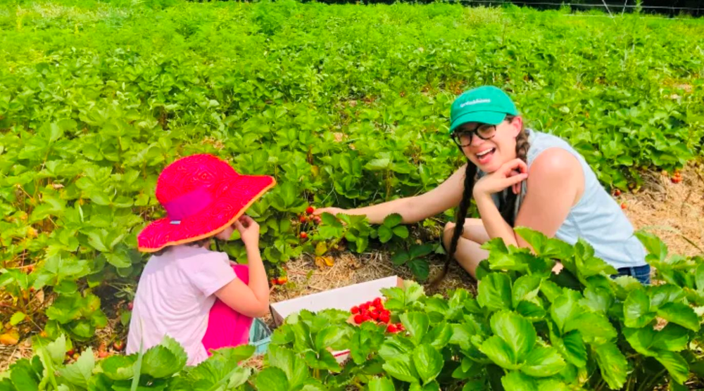 Choáng với nghề làm bảo mẫu, tài xế cho giới siêu giàu: Làm 2 tháng chơi cả năm, thù lao xấp xỉ 50 triệu/ngày, lái xe đi dạo cũng được boa hơn 100 triệu đồng - Ảnh 2.