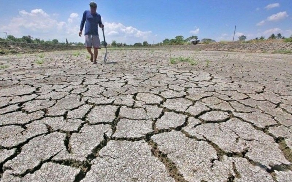 Đối phó El Nino, Indonesia thu mua dự trữ 750.000 tấn gạo - Ảnh 1.