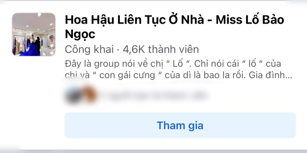 Giữa ồn ào lấn lướt Hoa hậu Mai Phương, Bảo Ngọc bị lập hàng loạt group anti chỉ trích - Ảnh 1.