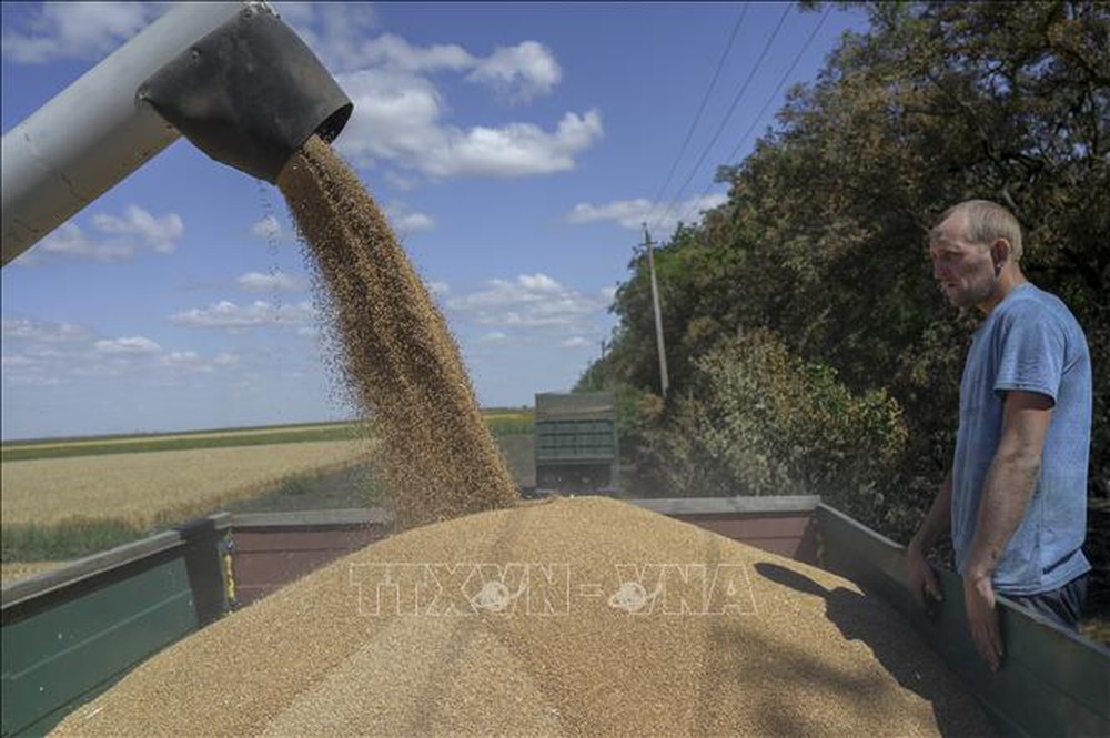 Litva kêu gọi EU giúp Ukraine tăng xuất khẩu ngũ cốc qua các nước vùng Baltic - Ảnh 1.