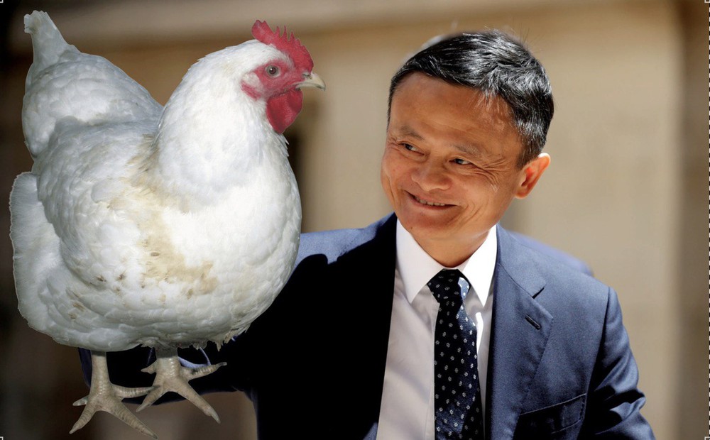 Cô gái quê gửi tặng Jack Ma một con gà mái để đổi lại một suất học bổng đại học: Kỳ tích xuất hiện! - Ảnh 1.
