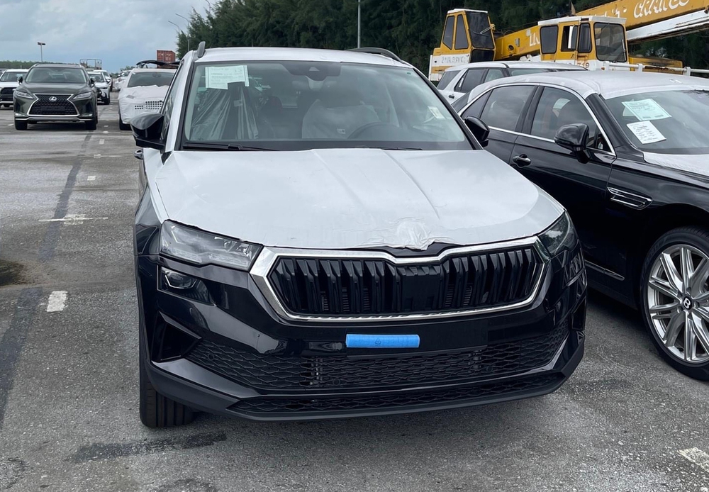 Skoda Karoq lộ diện tại Việt Nam: Cùng cỡ Corolla Cross, nội thất có nhớ ghế và lẫy chuyển số - Ảnh 1.