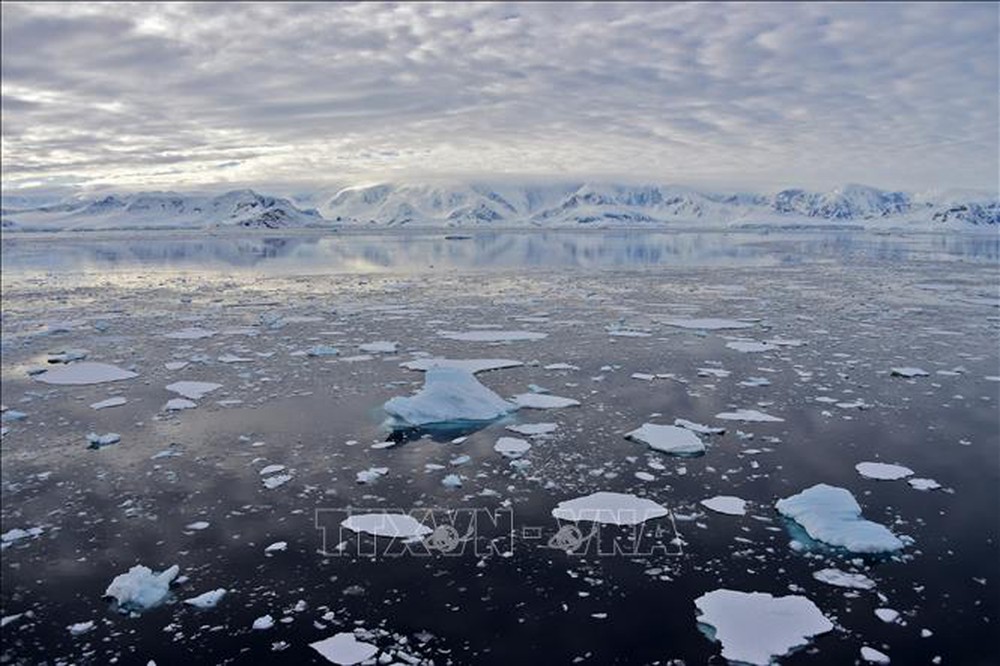 Nam Cực mất lượng băng biển bằng Argentina, thêm kỷ lục về khí hậu bị phá vỡ - Ảnh 1.