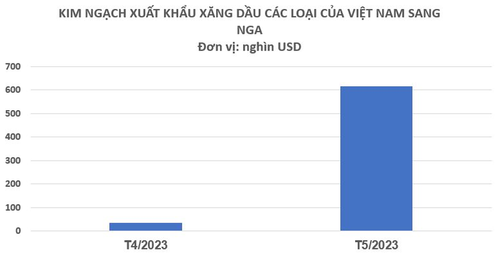 Xuất khẩu đứng đầu thế giới, Nga bất ngờ tăng nhập khẩu mặt hàng này từ Việt Nam hơn 1.600% trong tháng 5 - Ảnh 2.