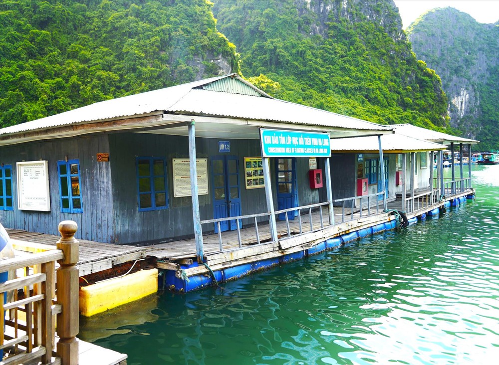 Bảo vật của di sản vịnh Hạ Long đang chìm dần