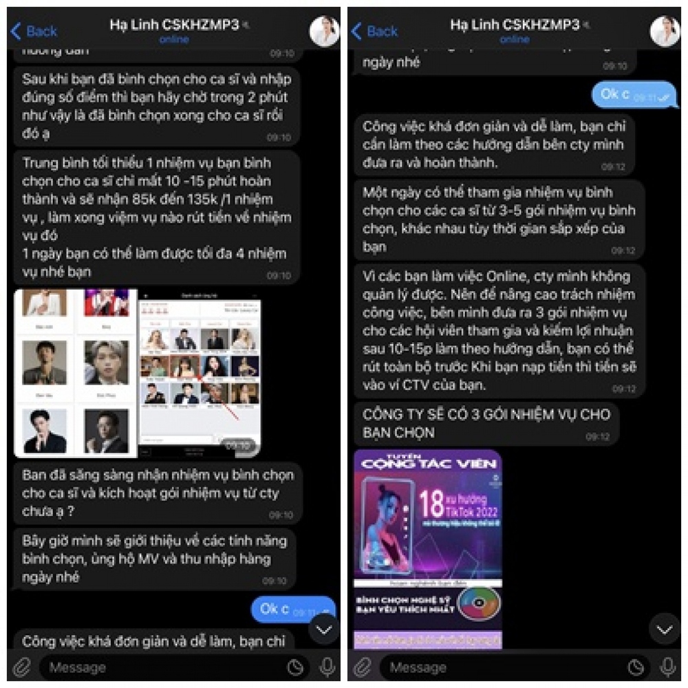 Mất gần 700 triệu đồng vì tin lời quảng cáo “lướt Tiktok, kiếm thu nhập - Ảnh 2.