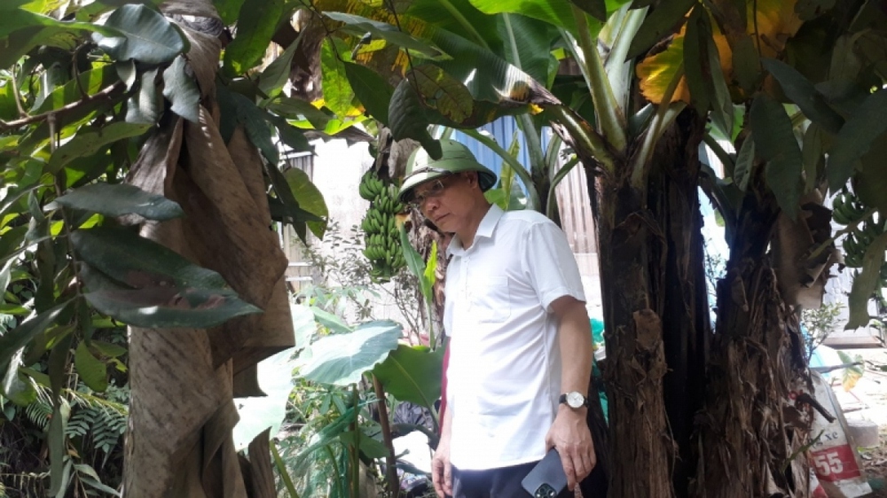 Làm rõ tình trạng nước đổi màu gần khu công nghiệp phía Nam tỉnh Yên Bái - Ảnh 4.