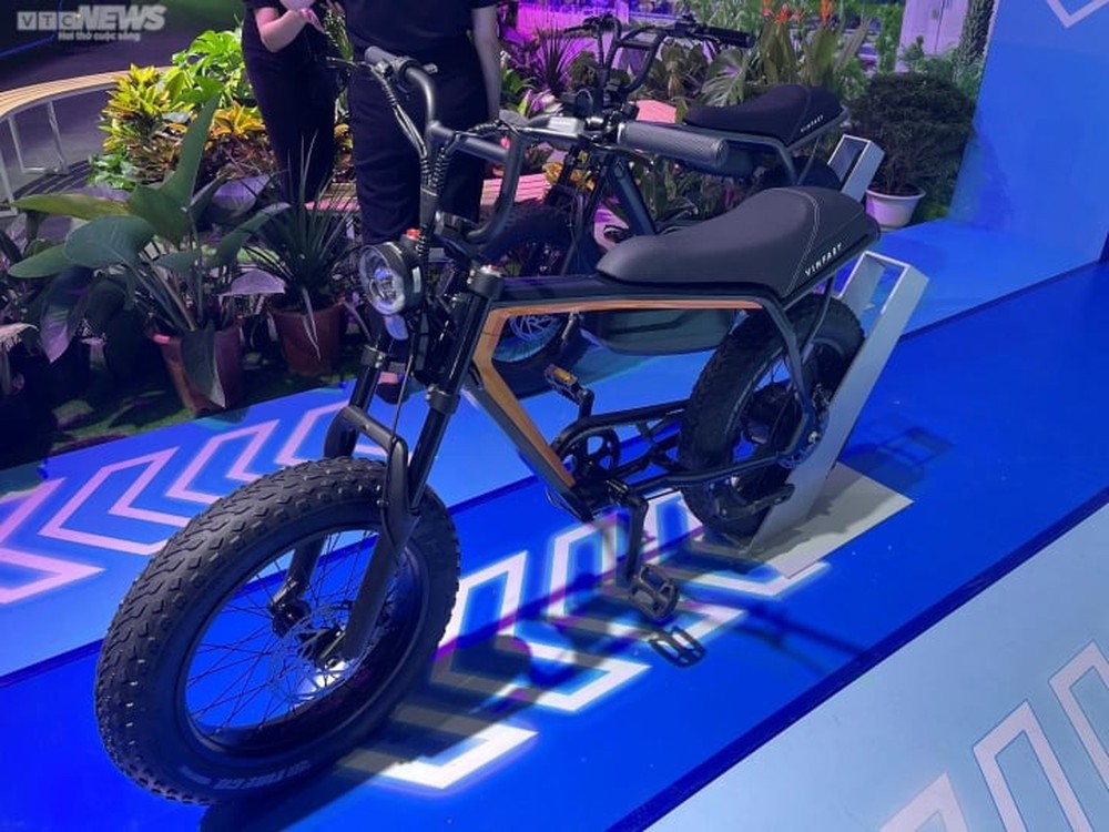 Mẫu xe đạp điện đầu tiên của VinFast có gì đặc biệt? - Ảnh 2.