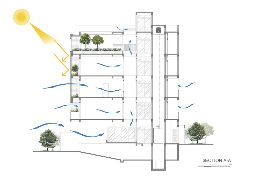 Giữa phố thị đông đúc và chật chội, một căn nhà có cả vườn cây và ao cá thu hút mọi ánh nhìn - Ảnh 1.