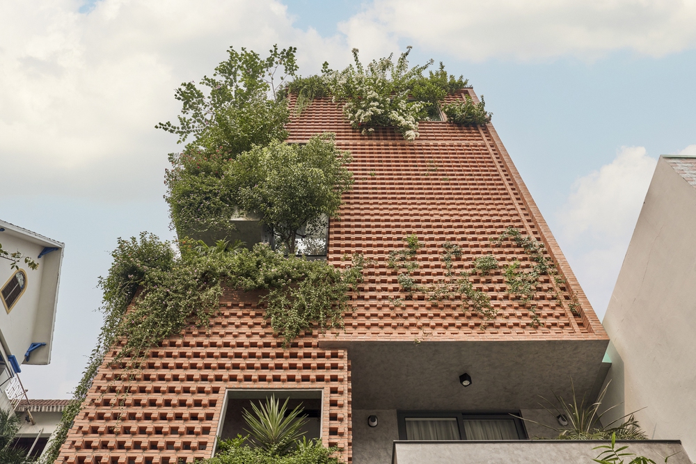 Giữa phố thị đông đúc và chật chội, một căn nhà có cả vườn cây và ao cá thu hút mọi ánh nhìn - Ảnh 3.