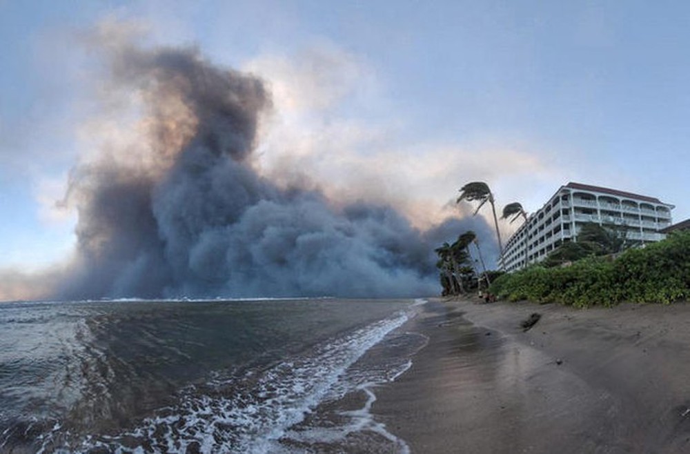 Sự thật bất ngờ về thảm họa cháy rừng ở Hawaii - Ảnh 12.