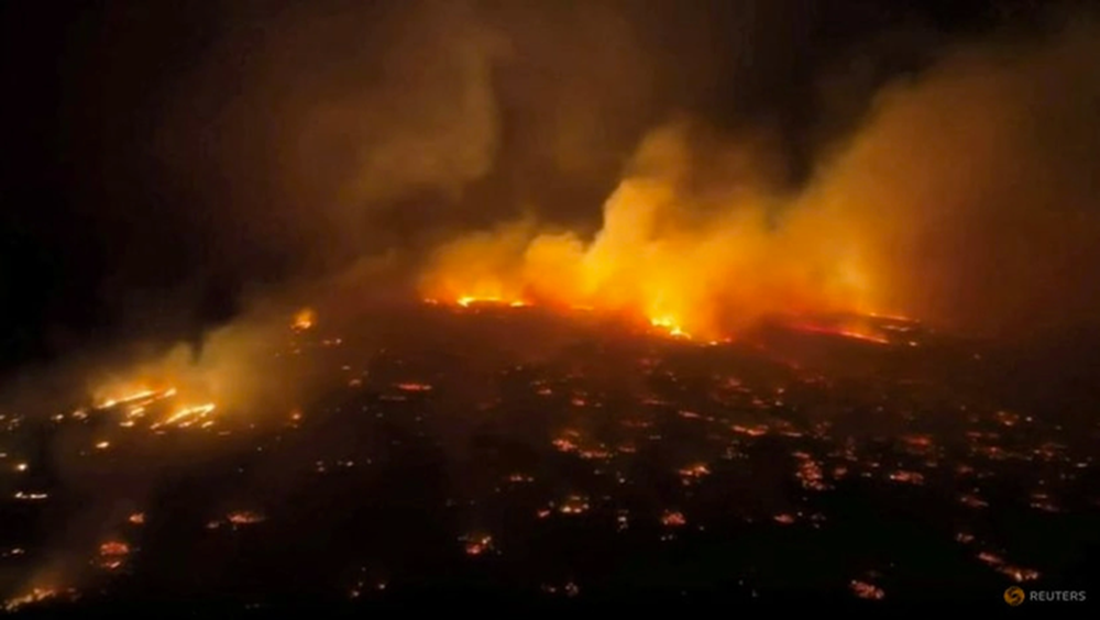 Sự thật bất ngờ về thảm họa cháy rừng ở Hawaii - Ảnh 10.