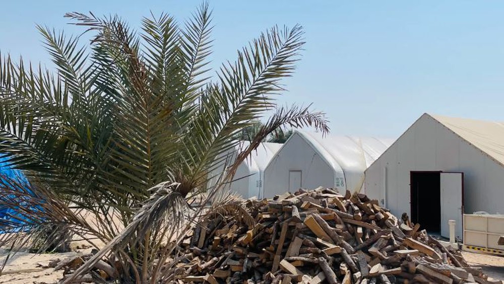 Đột phá công nghệ trồng nấm giữa cái nóng khắc nghiệt của sa mạc UAE - Ảnh 3.