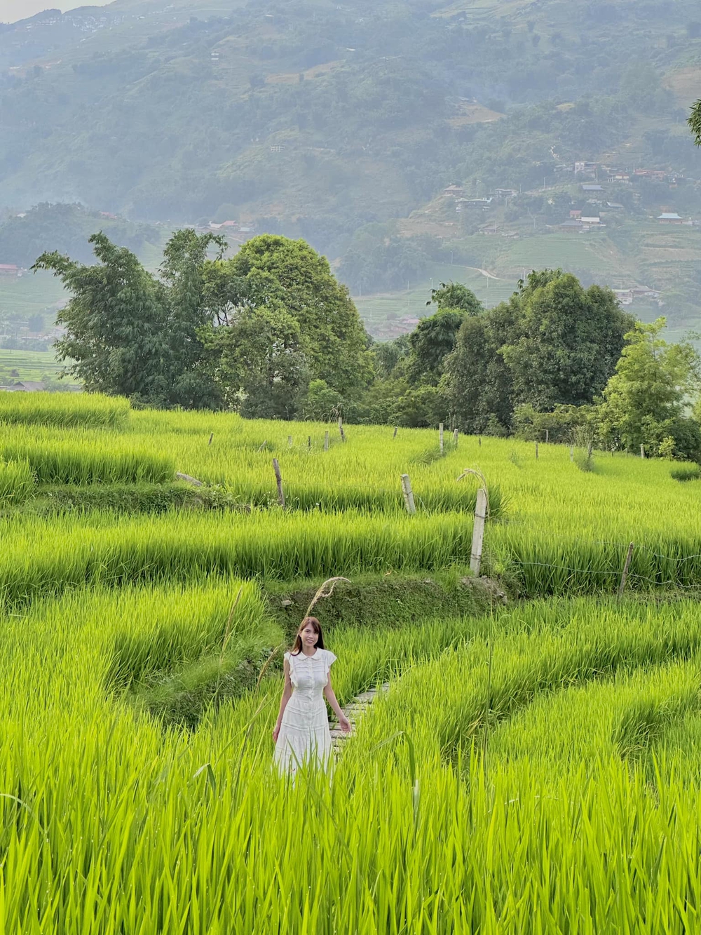 Ai cũng đi Sa Pa dịp này nhưng đã biết những tọa độ ngắm toàn cảnh ruộng bậc thang bất kể nắng mưa hay chưa? - Ảnh 1.