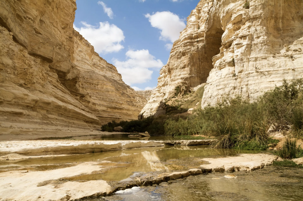 Tại sao Israel được coi là siêu cường nhỏ nhất thế giới? - Ảnh 5.