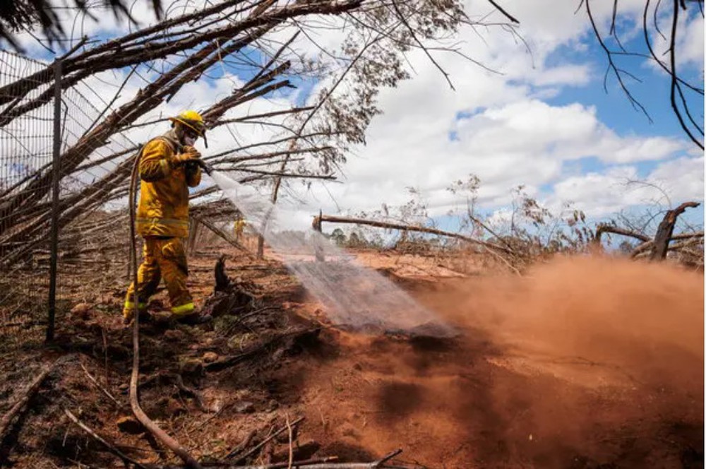 Cháy rừng nghiêm trọng ở Hawaii: Hệ thống cảnh báo lớn nhất thế giới không hoạt động - Ảnh 2.