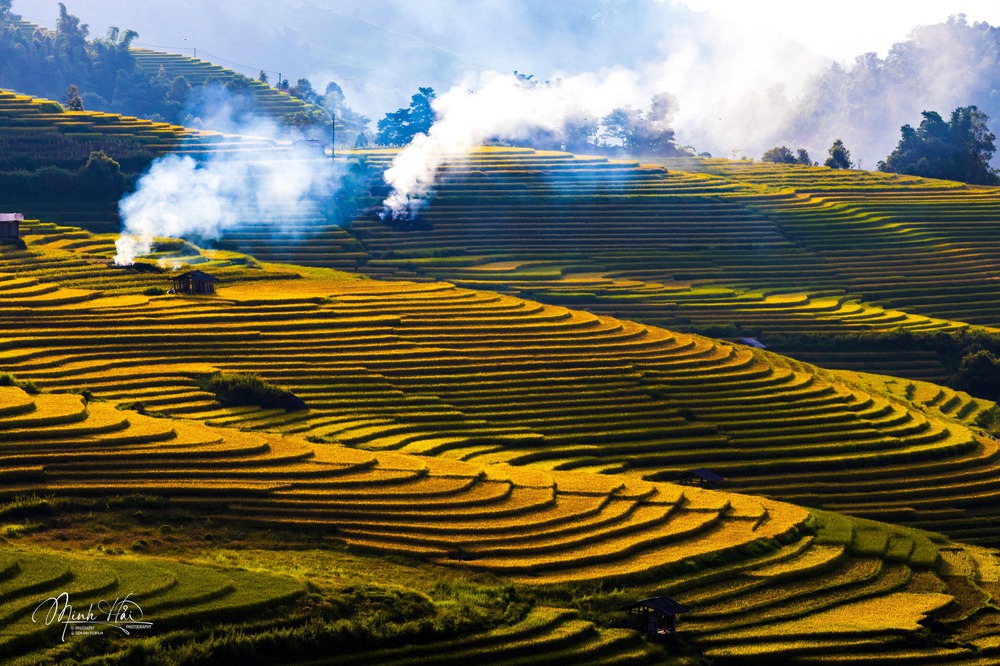 Phát hiện địa điểm ngắm mùa lúa chín đẹp ở Tây Bắc ít ai biết, du khách nhận xét không thua kém gì nước ngoài - Ảnh 5.