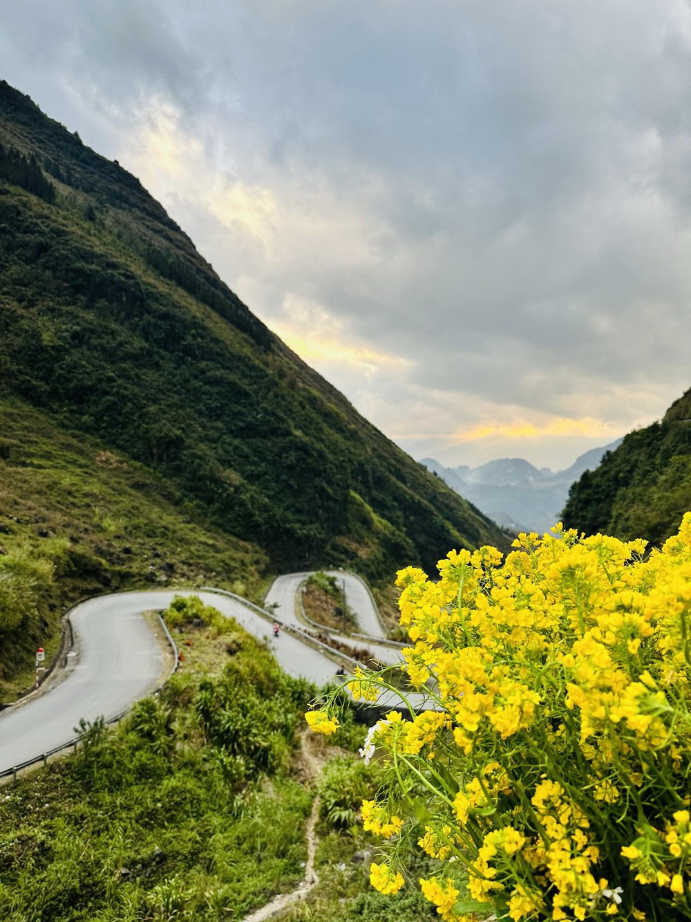 Khám phá Mèo Vạc, Hà Giang vào mùa đẹp nhất trong năm, đến Hoa hậu Thùy Tiên và Quang Linh Vlogs phải lặng người vì quá đẹp - Ảnh 3.