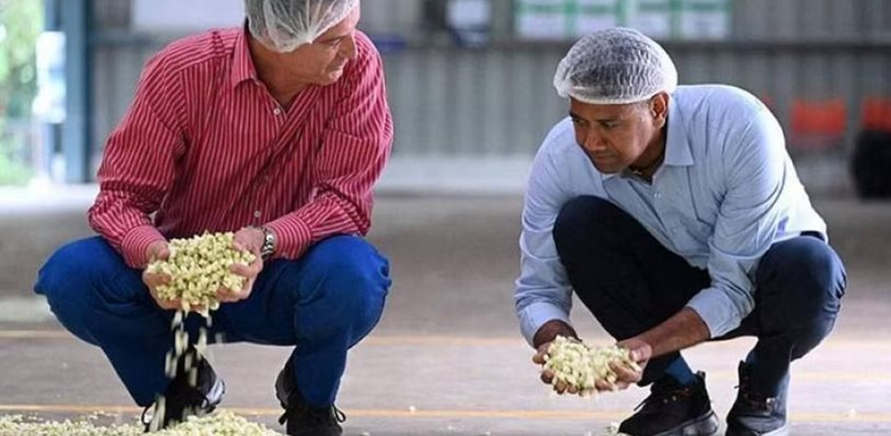 Loài hoa phổ biến ở Việt Nam, sang nước ngoài là ngọc trắng, bán hơn 500 nghìn/kg, tinh chất có giá 100 triệu đồng/lít: Bí quyết nằm ở quy trình sản xuất đặc biệt - Ảnh 3.