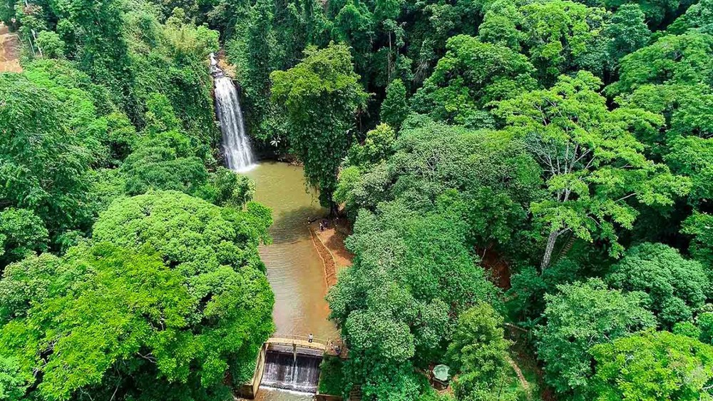 Hành trình khám phá Măng Đen – Đà Lạt thu nhỏ giữa lòng Tây Nguyên