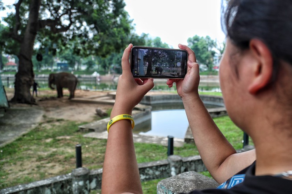 Người dân phấn khởi khi hai con voi ở Vườn thú Hà Nội đã được đi lại tự do - Ảnh 10.