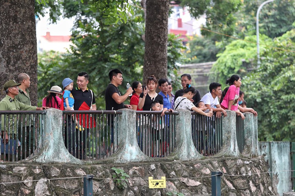 Người dân phấn khởi khi hai con voi ở Vườn thú Hà Nội đã được đi lại tự do - Ảnh 6.