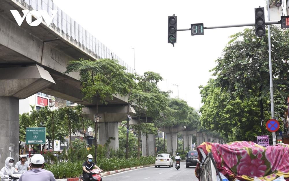 Hàng loạt cây xanh Hà Nội khó phát triển vì “đụng trần” đường trên cao - Ảnh 1.