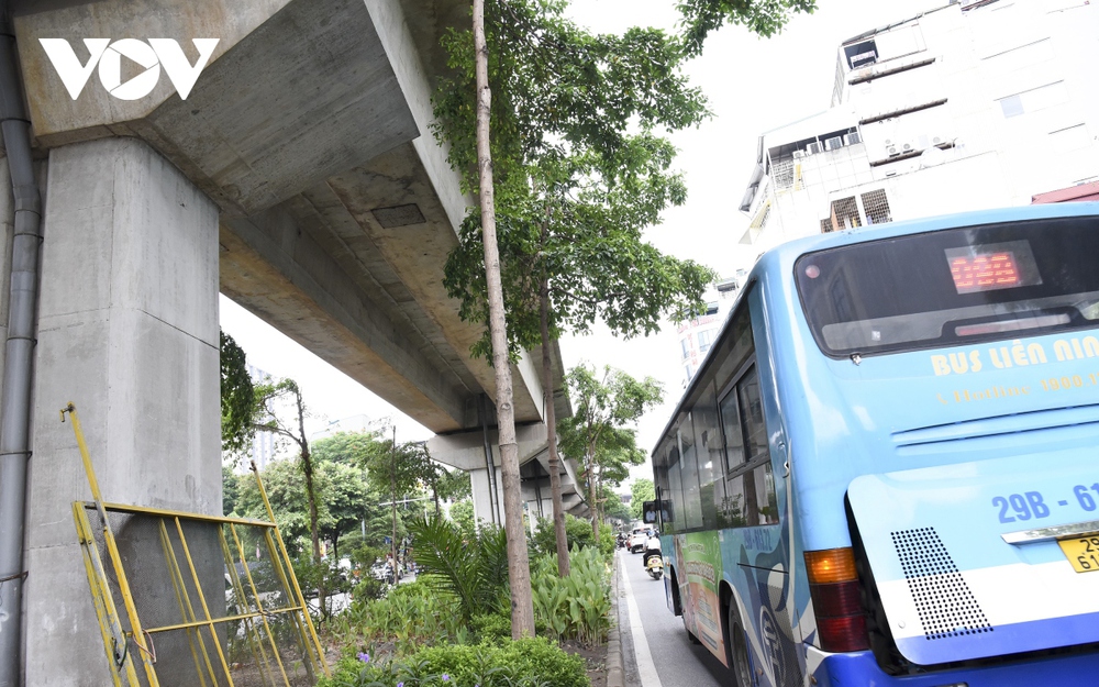 Hàng loạt cây xanh Hà Nội khó phát triển vì “đụng trần” đường trên cao - Ảnh 9.