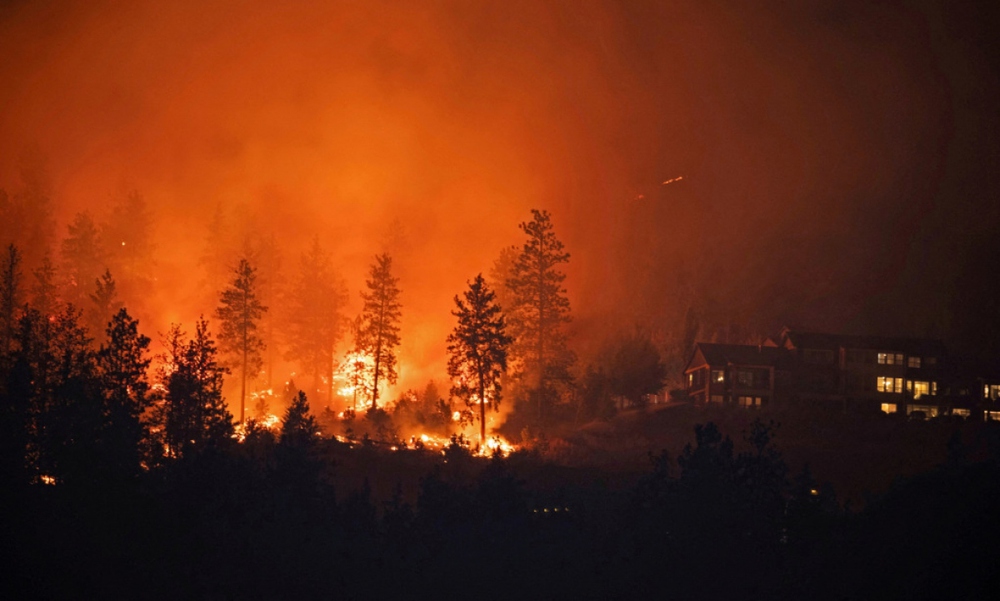 Thế giới đang phải chứng kiến những đám cháy rừng nghiêm trọng - Ảnh 1.