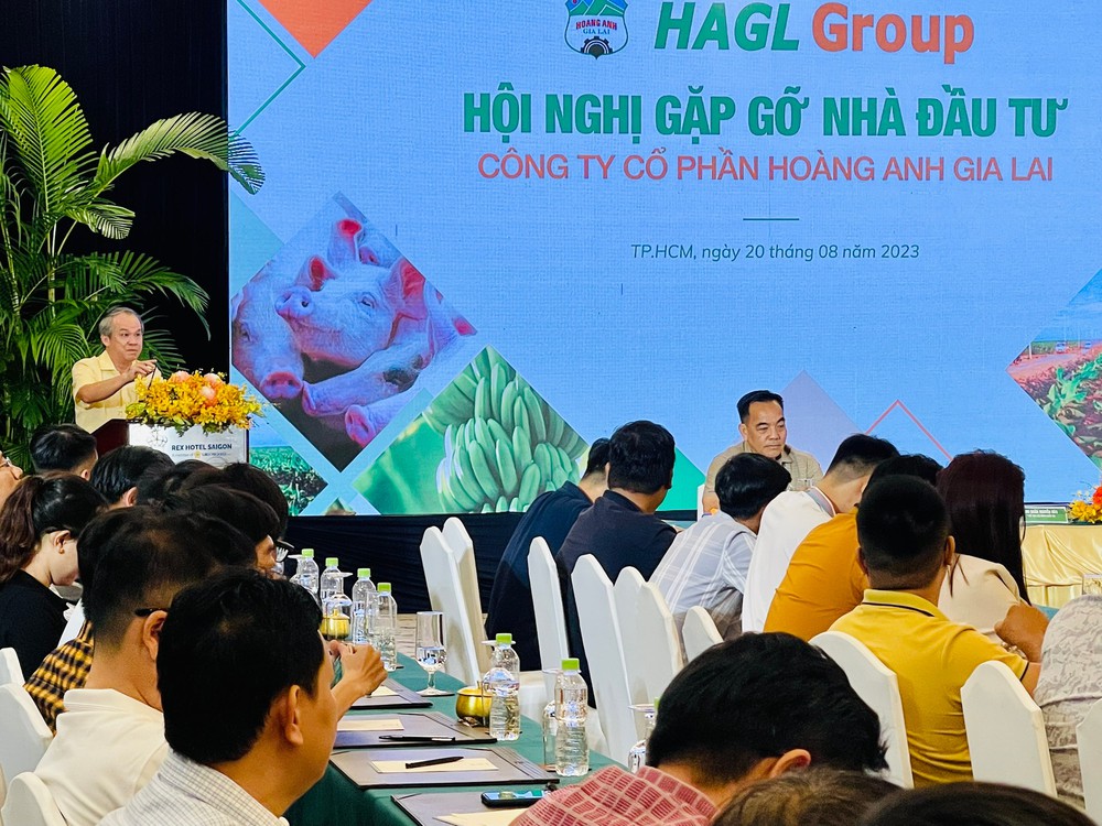 HAGL dừng nuôi gà và trồng rau củ quả, tập trung chuối- heo- sầu - Ảnh 1.