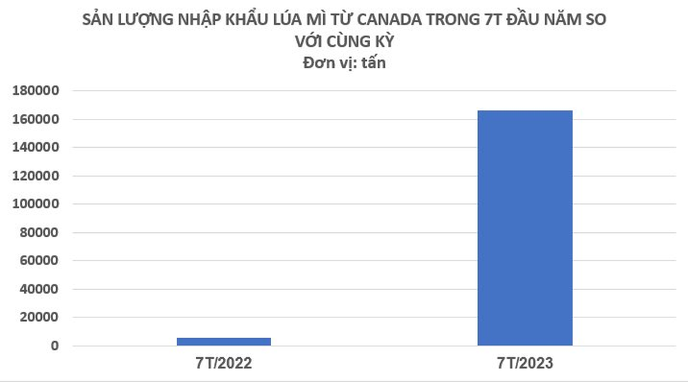 Một loại nông sản của Canada đang đổ bộ vào Việt Nam với giá rẻ kỷ lục, nhập khẩu tăng hơn 3.000% trong 7 tháng đầu năm - Ảnh 2.