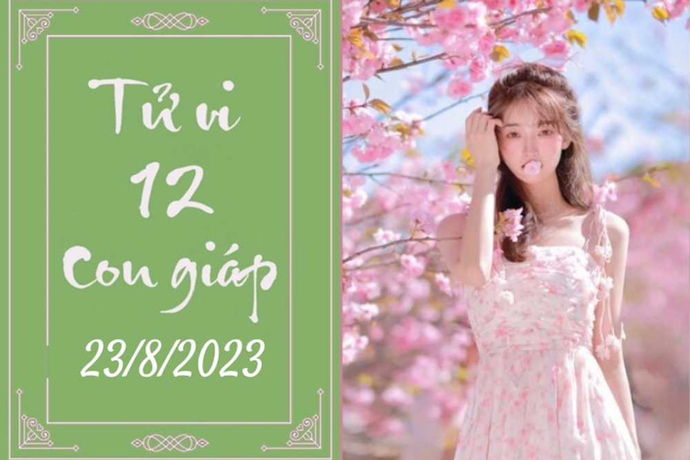 Tử vi vui 12 con giáp hôm nay ngày 23/8/2023: Mão thay đổi, Ngọ quyết liệt - Ảnh 1.