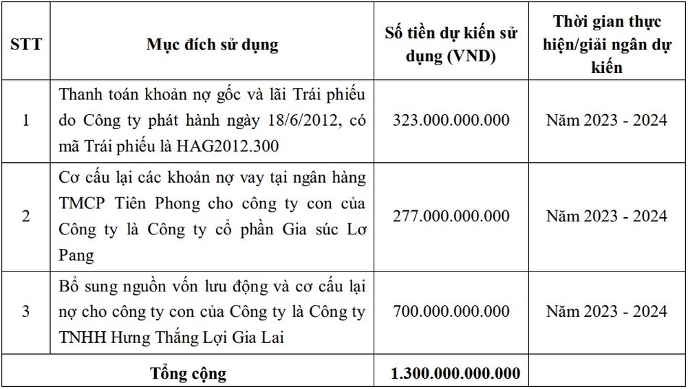 Hoàng Anh Gia Lai muốn bán riêng lẻ 130 triệu cổ phiếu, thu về 1.300 tỷ đồng để trả nợ - Ảnh 2.