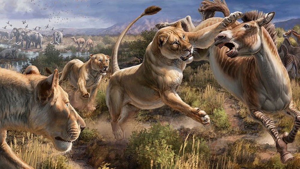 Cháy rừng cách đây 13.000 năm đã khiến cho hổ răng kiếm, sói dire và nhiều loài khác tuyệt chủng tại nơi ngày nay là California - Ảnh 6.
