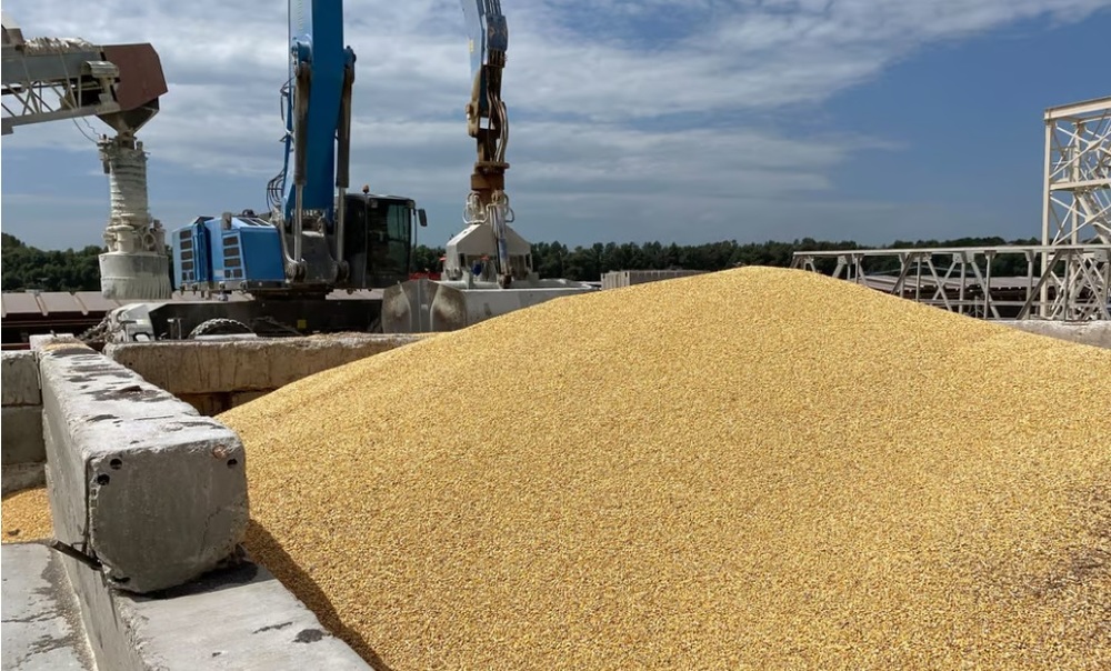 Ba Lan sẵn sàng đơn phương ban hành lệnh cấm nhập khẩu ngũ cốc Ukraine - Ảnh 1.