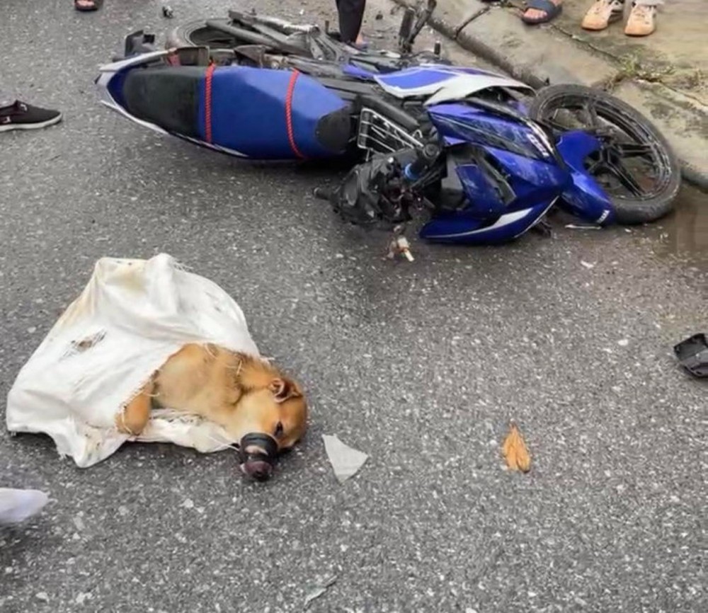 Camera vụ 2 thanh niên nghi trộm chó bị xe tải tông trúng ở Bắc Ninh - Ảnh 3.