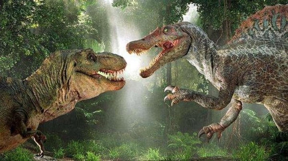 Sự thật đầy bất ngờ được phát hiện từ hóa thạch khủng long - Ảnh 1.