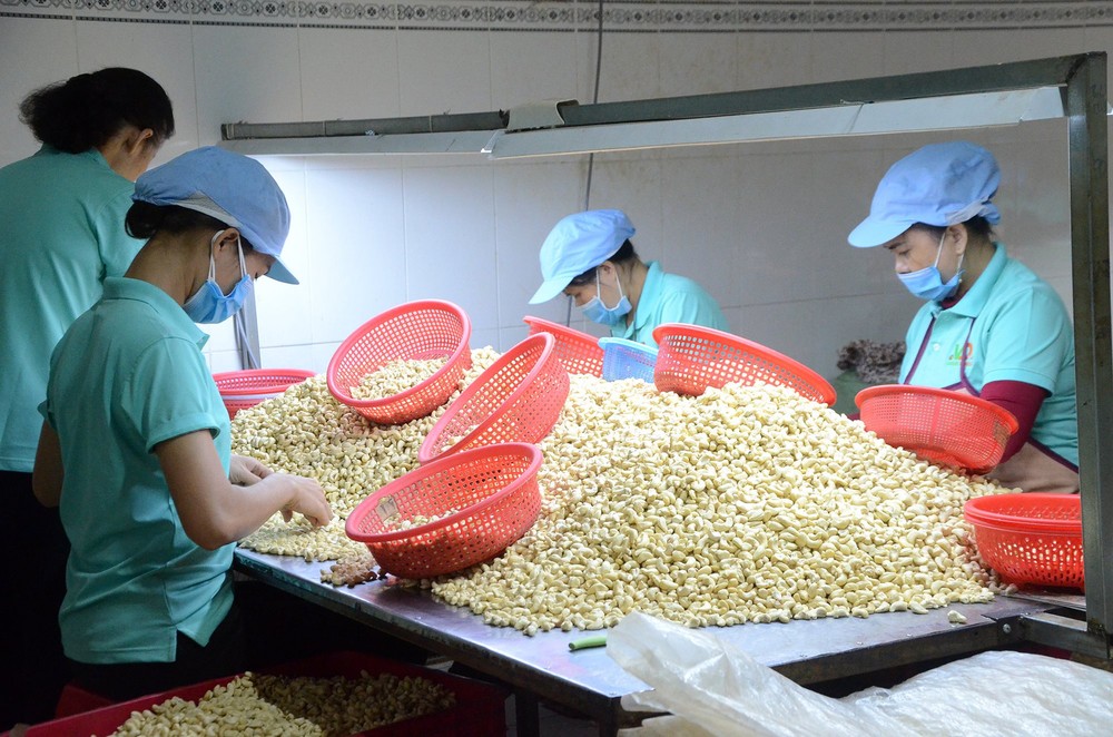 Trong 7 tháng, một loạt hạt mang về cho Việt Nam gần 2 tỷ USD, tăng 10% cùng kỳ - Ảnh 1.