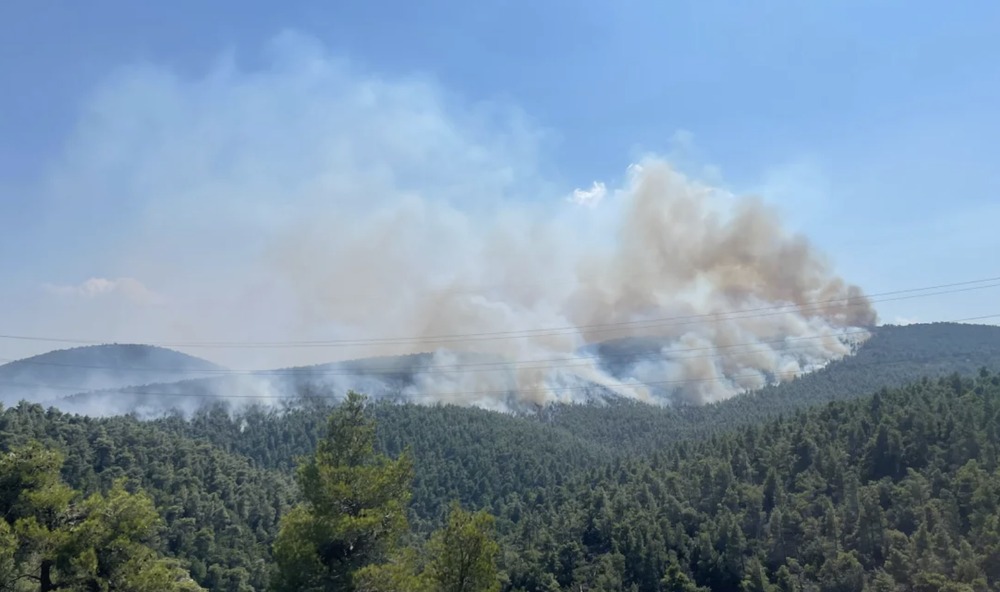 Cuộc chiến đuối sức cứu lá phổi của Hy Lạp khi cháy rừng bao trùm đất nước - Ảnh 5.