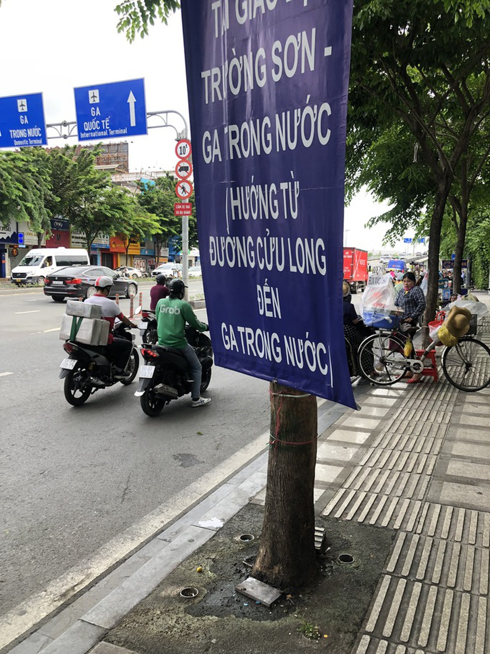 Hàng cây trên đường vào sân bay Tân Sơn Nhất bị bức tử - Ảnh 8.