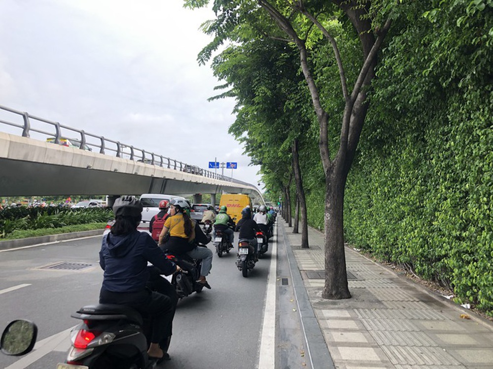 Hàng cây trên đường vào sân bay Tân Sơn Nhất bị bức tử - Ảnh 1.