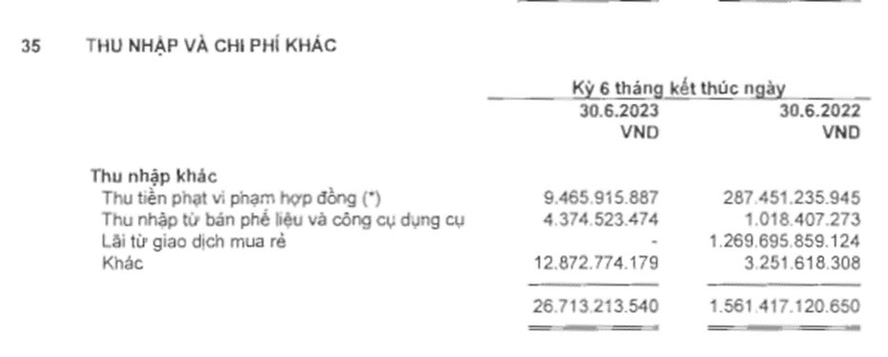 Novaland lỗ thêm 483 tỷ đồng sau soát xét - Ảnh 3.