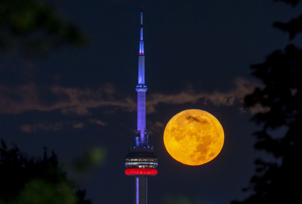 Chùm ảnh: Siêu trăng xanh lớn nhất năm 2023 rực sáng, gây ấn tượng trên bầu trời khắp thế giới - Ảnh 1.